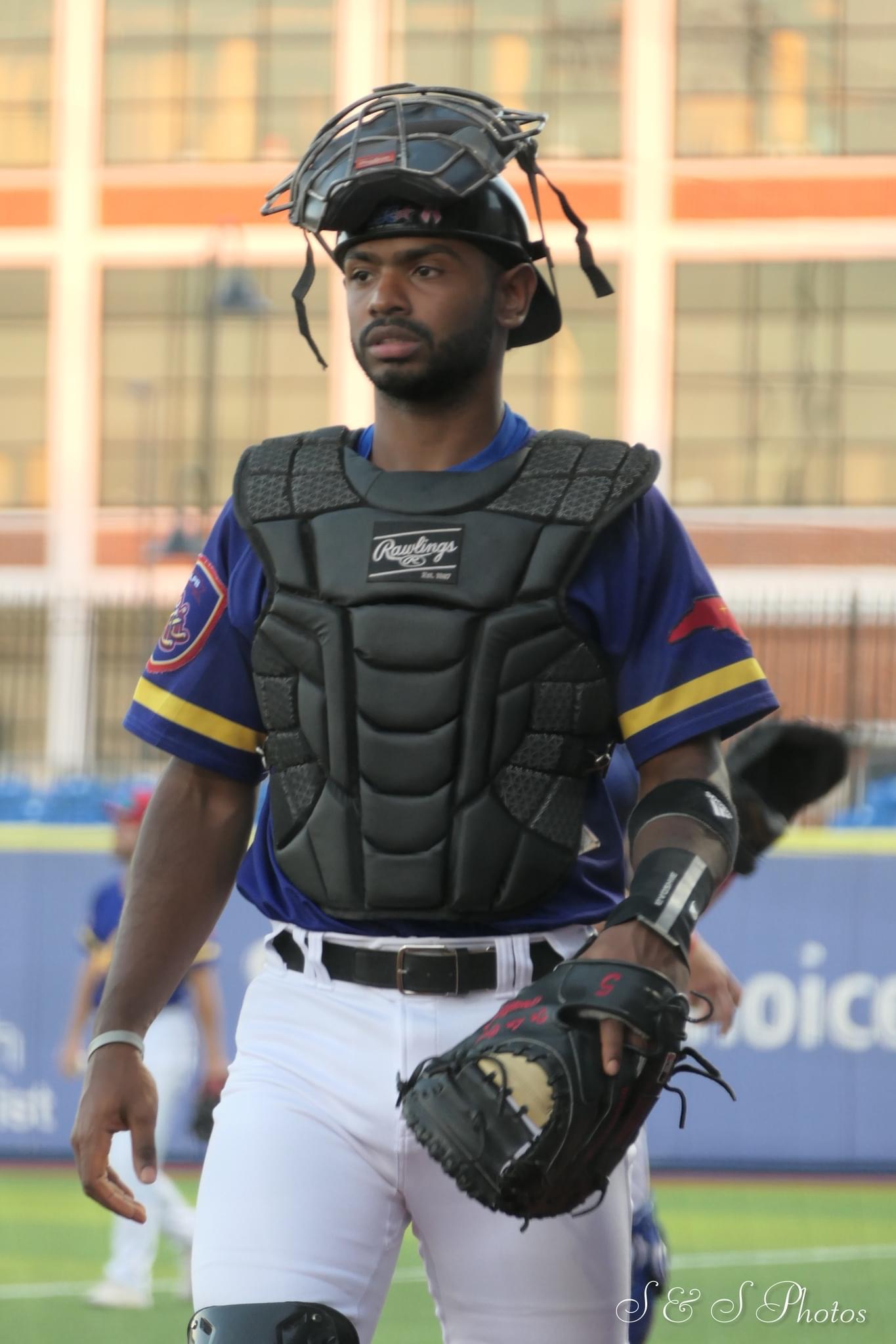 Easley De La Cruz (High Point Rockers)