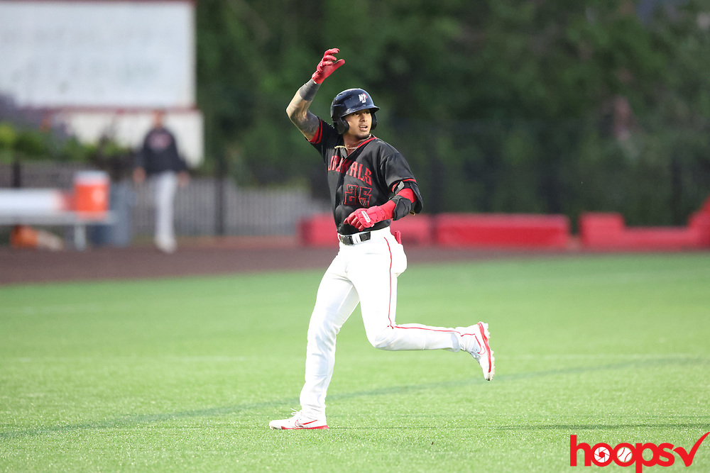Hemmanuel Rosario NJ Jackals